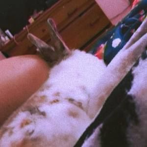 Meet your Posher, Riley